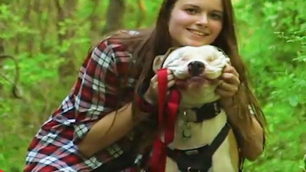 Slijepi pit bul pronašao svoju prijateljicu da ga zauvijek vodi kroz život